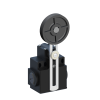 DP1T55X11