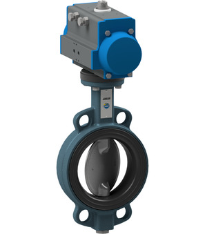 BUW6-050-DSE-D22