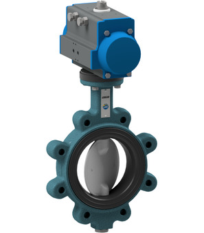 BULG-040-DSE-S22