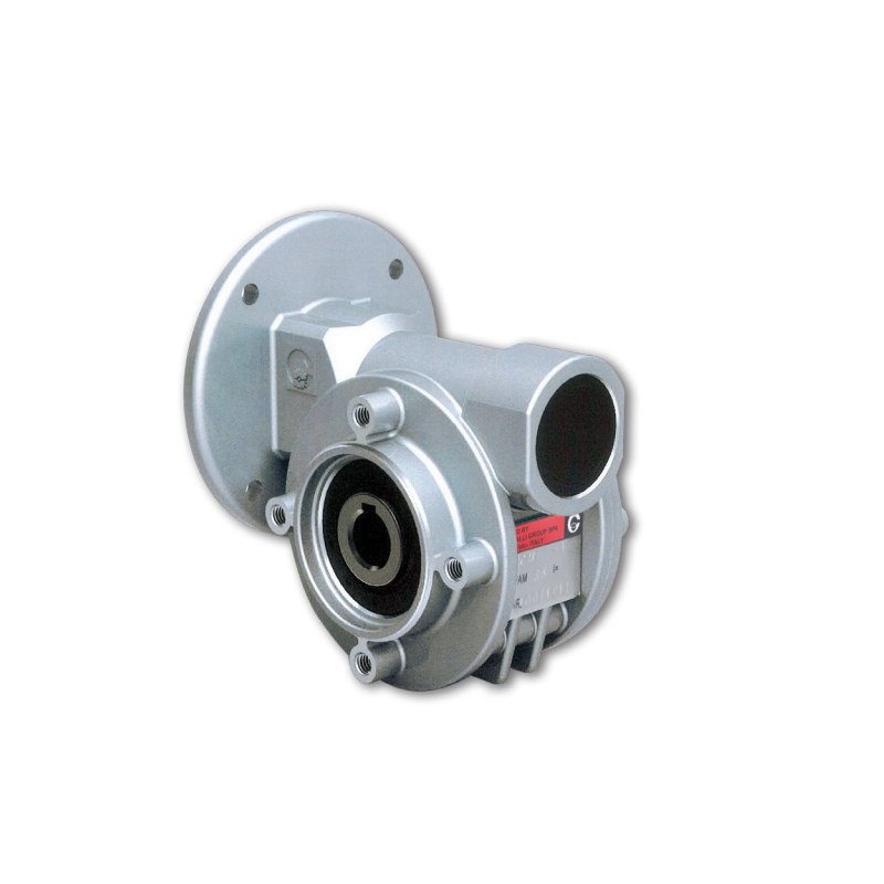 CH 03P-7 PAM56 worm