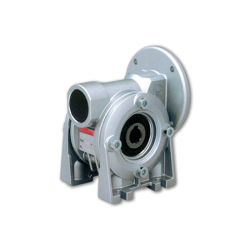 CH 04-60 PAM63 worm