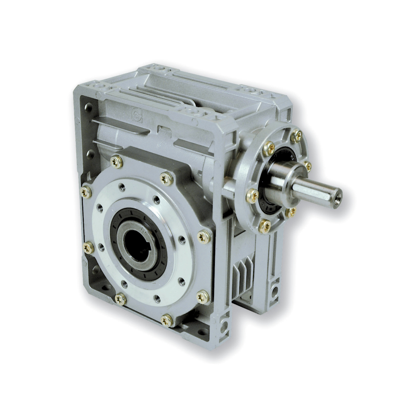 CHR 08-10 worm reducer