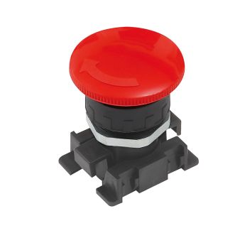 RIEGLER - RPT-NR