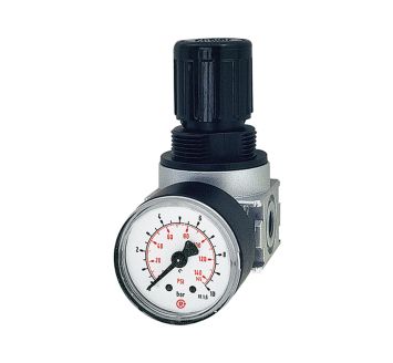 RIEGLER - R 06- 6