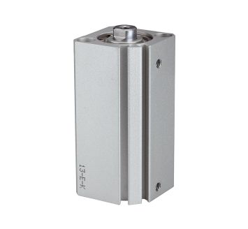 RIEGLER - 12.DMI.25010