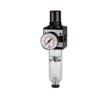 RIEGLER - C 12-K 10-HA
