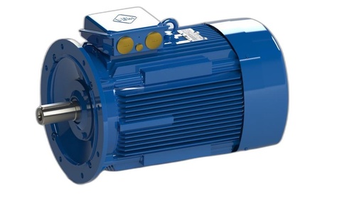 VEM MOTOR - IE3-W43R 225M 2 TPM HW