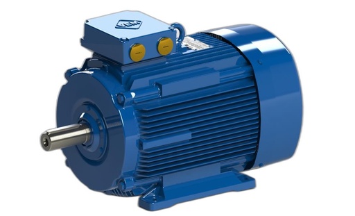 VEM MOTOR - IE3-W43R 200LX6 TPM HW