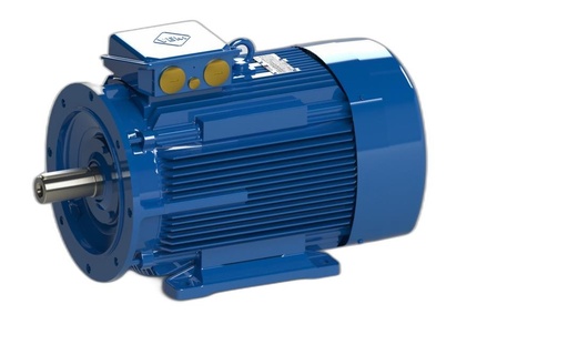 VEM MOTOR - IE3-W41R 200L 6 ST TPM HW
