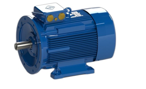 VEM MOTOR - IE3-W41R 225M 2 FD TPM HW