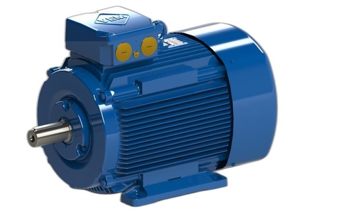 VEM MOTOR - IE3-W41R 250M 6 EE LL HW