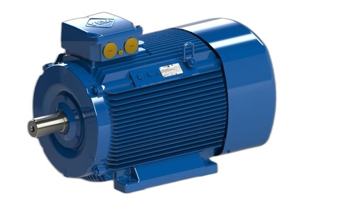 VEM MOTOR - IE3-W43R 280M 6 LL TPM HW
