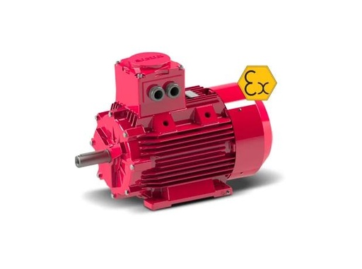 GAMAK - GG3Exd 200 L 2b