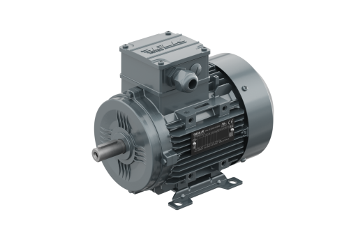 ELK MOTOR - 3EL063M2A