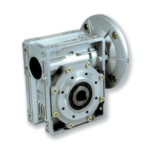 CHIARAVALLI - CH 07-15 PAM100 worm