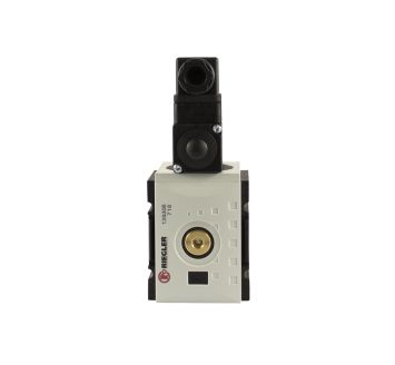 RIEGLER - FU 943-DS10
