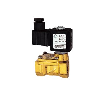 RIEGLER - MV 1382