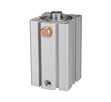 RIEGLER - 12.EM.63005
