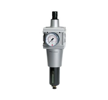 RIEGLER - C 55 M-SR