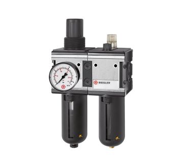 RIEGLER - CL 45 S-10