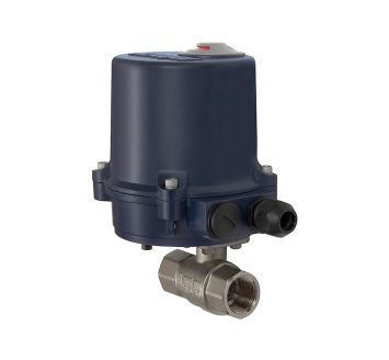 RIEGLER - 350.2813R